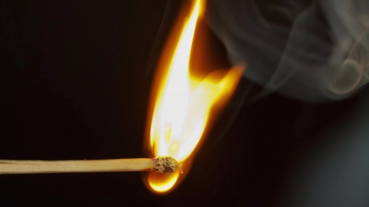 威廉姆斯女王杯回归照亮年轻球员成长路径